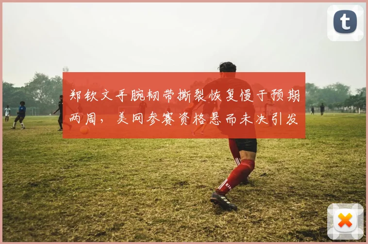 郑钦文手腕韧带撕裂恢复慢于预期两周，美网参赛资格悬而未决引发团队内讧